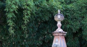 Walter Hill Drinking Fountain topknot